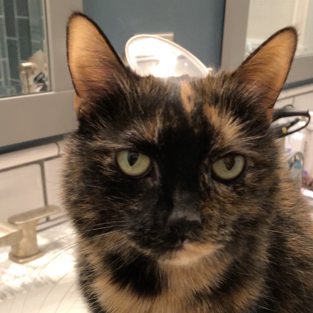 Meet your Posher, Kaitlin